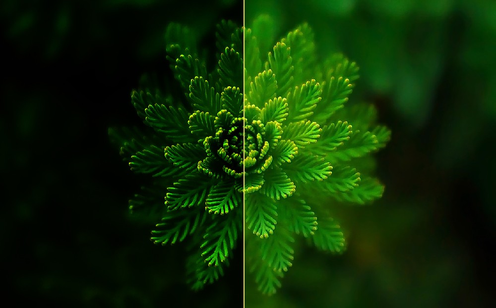 歐盟‘新電池法’生效在即，可持續(xù)設(shè)計如何重塑產(chǎn)品外觀與工業(yè)設(shè)計公司的核心價值？